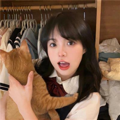 钢铁少女团封面